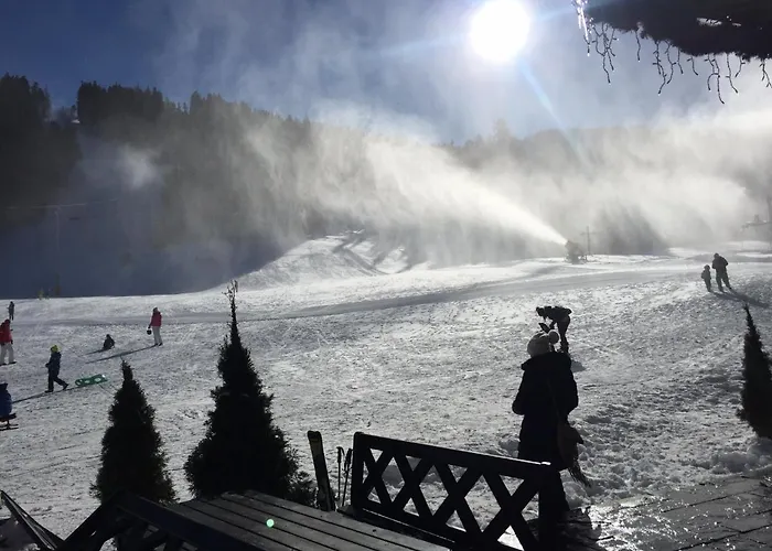 Hotel apartamentowy Gm Royal Plaza Borowec